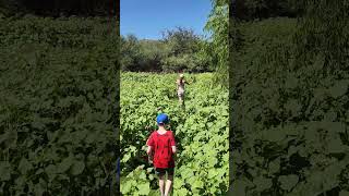 Hiking With The Fam At Lake Patagonia,Az