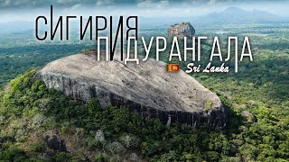 Шри Ланка. Сигирия или Пидурангала. Обзор восхождение. Srilanka