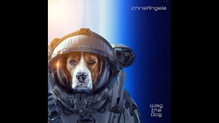 "Wag the Dog" by chrisAngela from the album "The End of Beginning"