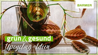 grün & gesund mit Jasminar // Schöner wohnen: 3 einfache DIYs & Upcycling-Ideen für euerZuhause