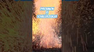 Pyrounion P1 Schallerzeuger #shorts #feuerwerk #fireworks