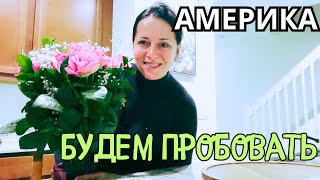 США влог / Утро / Делаю себе полезный напиток / На кухне / Usadavlog