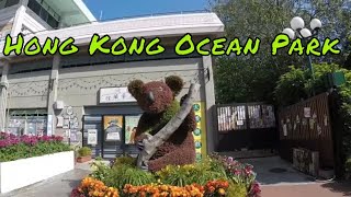 VLOG Hong Kong Ocean Park.