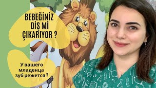 BEBEĞİNİZ DİŞ Mİ ÇIKARIYOR ?