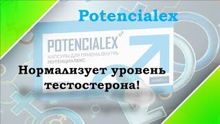 Potencialex Екатеринбург заказать по разумной цене