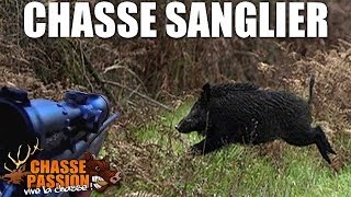 Très gros sanglier de 160 kg - Chasse Sanglier