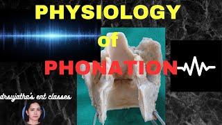 219.Physiology of Phonation ent #anatomy_physiology #sound