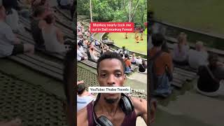 Monkey attack in Indonesia #monkeyforest #monkeyvideos #balilife #attack