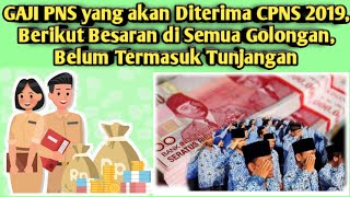 GAJI PNS yang akan Diterima CPNS 2019, Berikut Besaran di Semua Golongan, Belum Termasuk Tunjangan