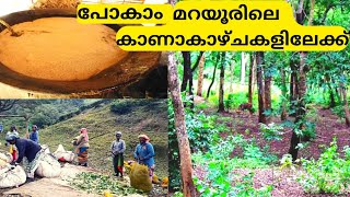 Marayoor Tourist Places || Marayoor Jaggery Factory || Marayoor Sandal Forest #marayoor