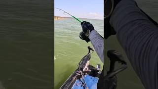 Pescando en presa don Martín  #fishing #pesca #lobina #pescadeportiva #blackbass #videos