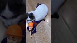 Laugh out loud   Funny Cute Cat and Kittens   I love Cats   Part 2 😆😆😆 #Shorts 😆😆😆