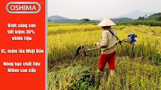 GIẢI PHÁP THU HOẠCH LÚA: SỬ DỤNG MÁY CẮT CỎ GẮN CÁNH LỒNG GẶT