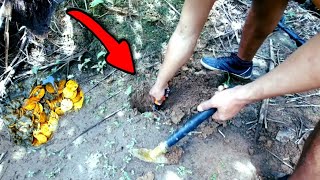 TEMUAN ALAT METAL DETECTOR YANG SANGAT MENGEJUTKAN