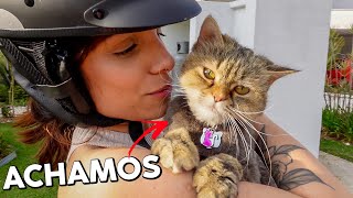 CAÇANDO os GATOS do nosso condomínio - Vlog #23