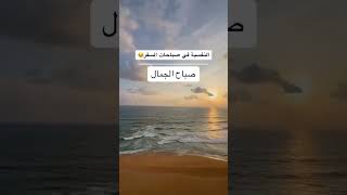 رحلات مميزة الى سريلانكا ومدنها المميزة #نوراليا #كاندي #حجز طيران دولي #رحلات #اكسبلور #vlog #funny