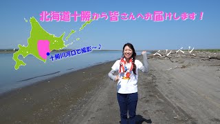 【 民謡歌手・三味線奏者 】加藤 恵理奈YouTubeチャンネルの紹介ビデオです。