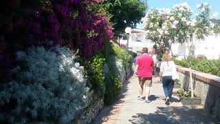 Gardens in Capri