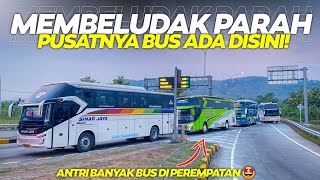 PUSAT BUS ADA DISINI❗RAMAI HUNTING SORR HARI DI EXIT TOL WELERI NYORE LIAT BUS DISINI BIKIN BETAH