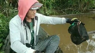 SADIS !! Joran langsung di HAJAR dan di SERET saat komat Kamit!!MANCING UDANG GALAH