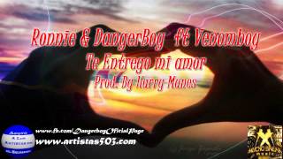 Te Entrego Mi Amor + Ronnie & DangerBoy ft Venomboy  + Link de Descarga, 2013