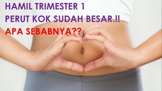 6 Penyebab Perut Ibu Hamil Terlihat Besar di Trimester Pertama