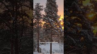 а в наш первый дом у моря, приехать в гости можно уже сейчас✨️🌲