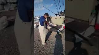 #fishing #fishingvideo #fish #swordfish #tuna #swordfishing #cuttingfishvideo #mahi #tunafish