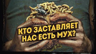 Почему Путин поддерживает повестку глобалистов? Съедобные мухи. Инна Ямбулатова