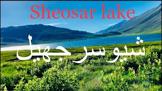 Sheosar lake Deosai national park شیوسرجھیل دیوسائ نیشنل پارک Skardu trip in Pakistan