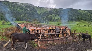 Best Nepali Himalayan Village Life in Rany Day || Most Peaceful And Relaxing mountain Life Of Nepal