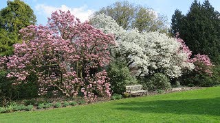 Botanical Garden Kalmthout - Belgium