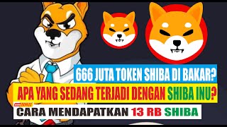 BERITA HEBOH SHIBA & CARA DAPETIN 13000 SHIBA GRATIS DARI APLIKASI MINE SHIBA