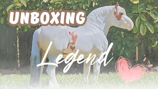 Unboxing Legend (Hercules) Breyer Traditional Model Horse!! ❤️