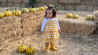 Plaza Bonita Pumpkin Station