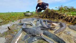 Wow amazing fishing, A fisherman catch fish by hand on the moss