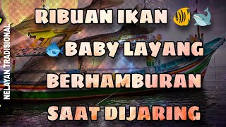 NELAYAN TRADISIONAL menangkap ribuan ikan ditengah malam