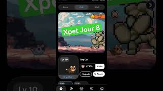 Xpet Jour 8, aucun fragments en PVE Aujourd’hui et c'est normal #xpet