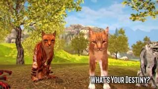 Cats of the Forest Free Game