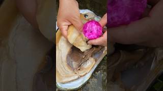 Pearl in Oyster || #short #shortvideo #gemstone #quartz #shorts #stone