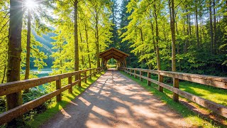 Восстанавливает нервную систему🌿Мягкая музыка лечит сердце, избавляет от чрезмерного мышления и стр