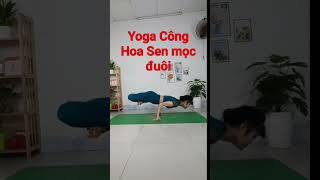 Yoga Tư Thế Công Hoa Sen | Yoga Như Quỳnh