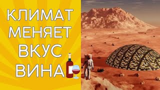 Вино климатического апокалипсиса будет крепким