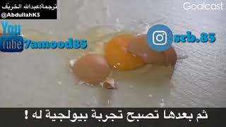 اطفالكم عباقره لا تجعلوهم اغبياء