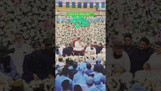 Milad un Nabi status 2024 #owaisrazaqadri #miladunnabi #shorts #islamic #shortvideo #ytshorts #2024