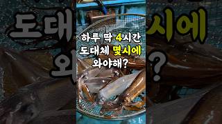 하루 딱 4시간 영업 도대체 몇 시에 와야해? #맛집 #shorts #속초 #속초맛집 #물회맛집 #물회 #오징어