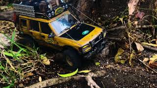 2024.10.14 - Land Rover Discovery in the jungle (FMS FCX24m)