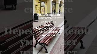 Почему скамейку назвали скамейкой? #интересныефакты #скамейка #деревья #мусор