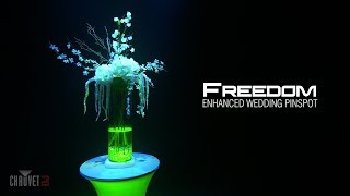 Freedom Synergy for Powerful Elegance by CHAUVET DJ