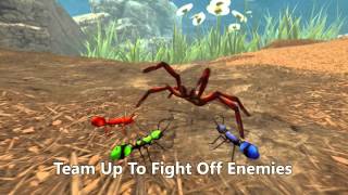 Fire Ant Simulator by Wildfoot - from the Insecto Series. Play for Free!!